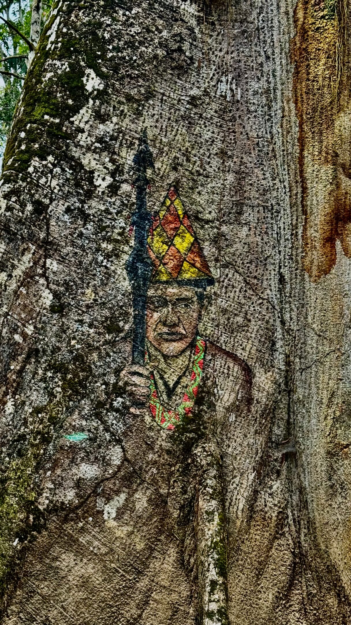 Deus em tudo, em todos os segundos! Impossível não se inundar da presença de Deus na floresta Amazônica! 

A árvore da vida é nossa, a rainha da floresta: SAMAÚMA ❤️✨🇧🇷