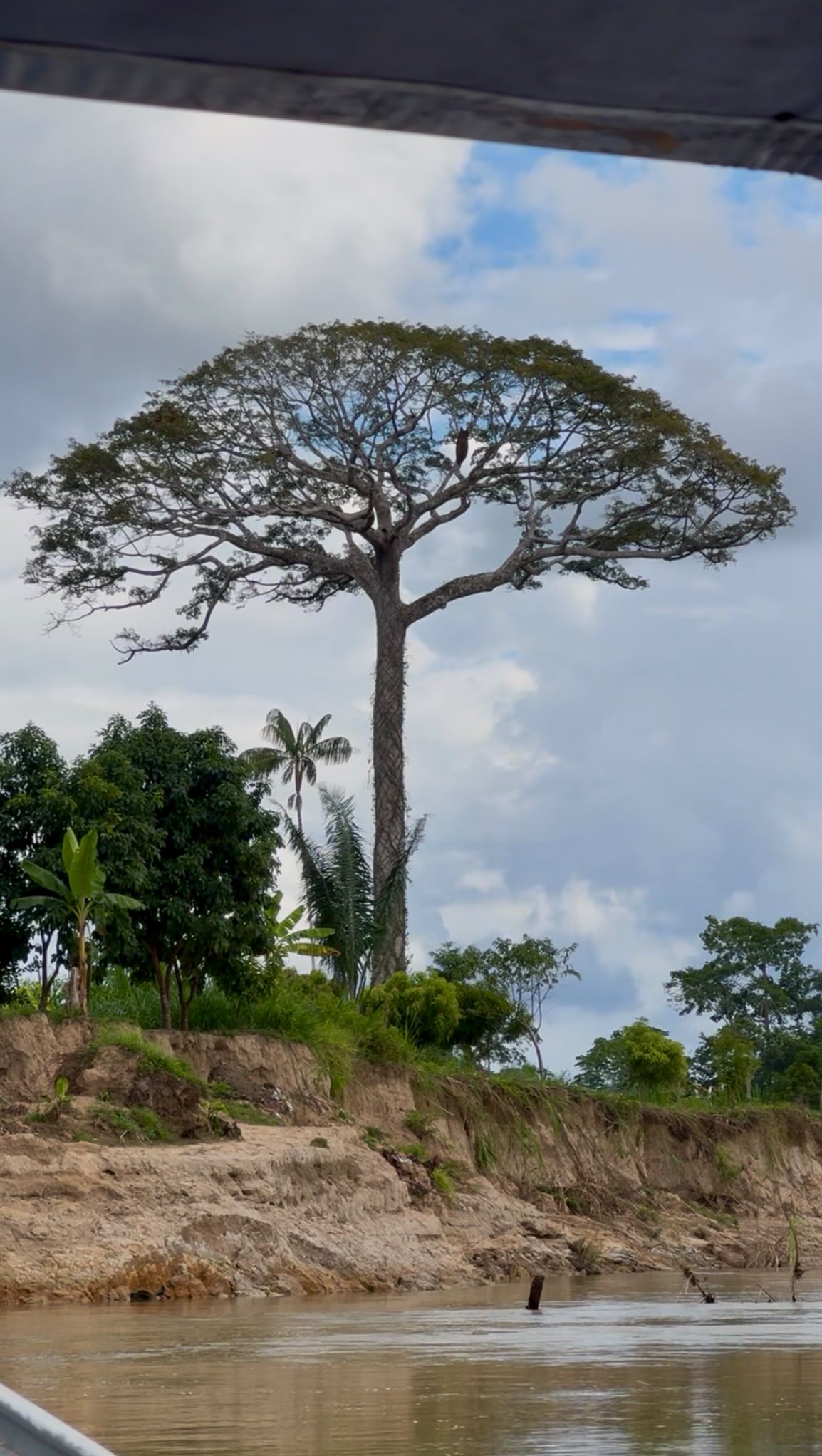 Depois de passar 365 dias viajando o mundo inteiro, me sinto capaz de tudo! E uma comunidade indígena me chamou bastante, os Yawanawa!