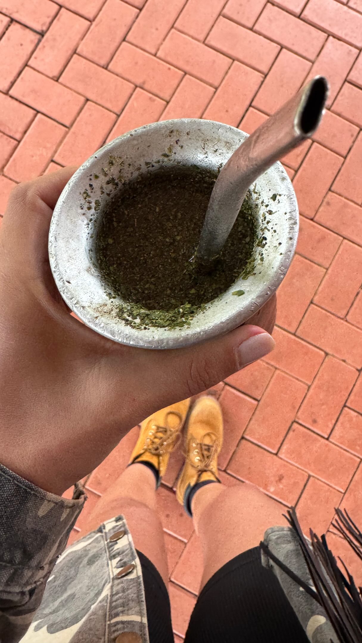 24 primeiras horas no Mato Grosso do Sul e amando!!!