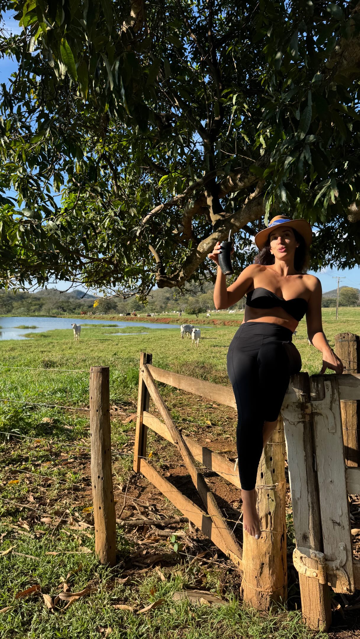 Um fim de tarde, uma porteira e um tereré. A vida é muito boa! ✨🇧🇷🐊

📍 Fazenda Remanso, Mato Grosso do Sul
