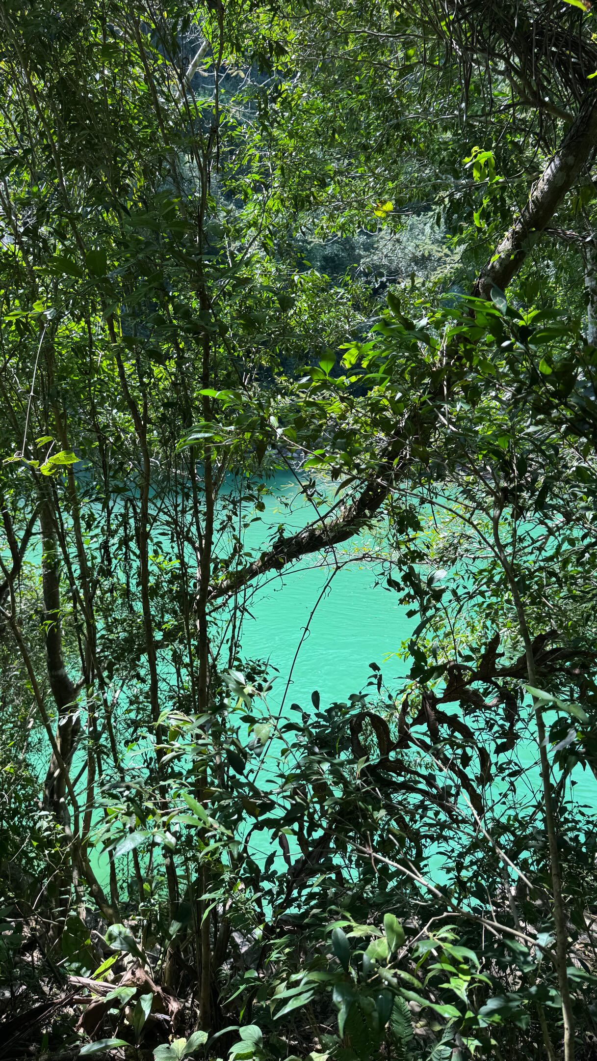 Tanta coisa para conhecer no país mais fantástico desse planeta! O BRASIL! 🇧🇷🐊

📍 Serra da Bodoquena, Mato Grosso do Sul