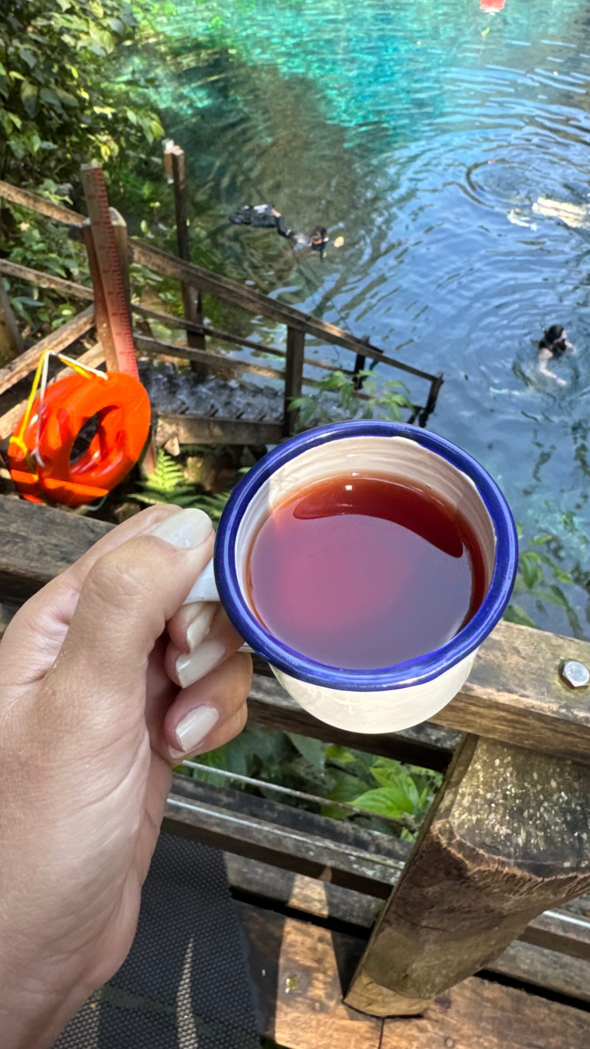 Não imagino uma existência não sendo brasileira, que país é esse!!!! 🇧🇷❤️🙏🏾

📍 Bonito, Mato Grosso do Sul
