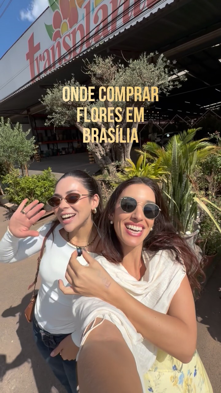 ONDE COMPRAS FLORES EM BRASÍLIA: Episódio 01: @transplantasgarden